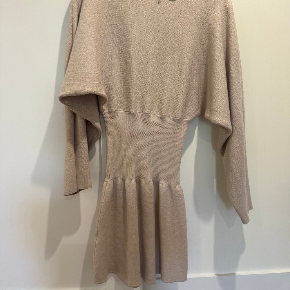 Zara Knit Turtleneck Dress